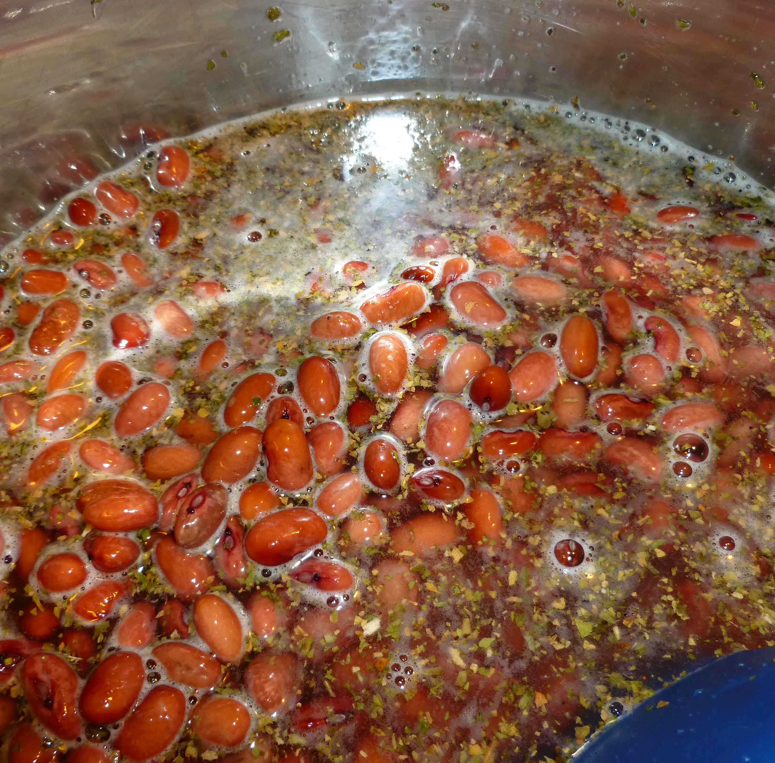 Beans and Epazote at beginning of cooking process