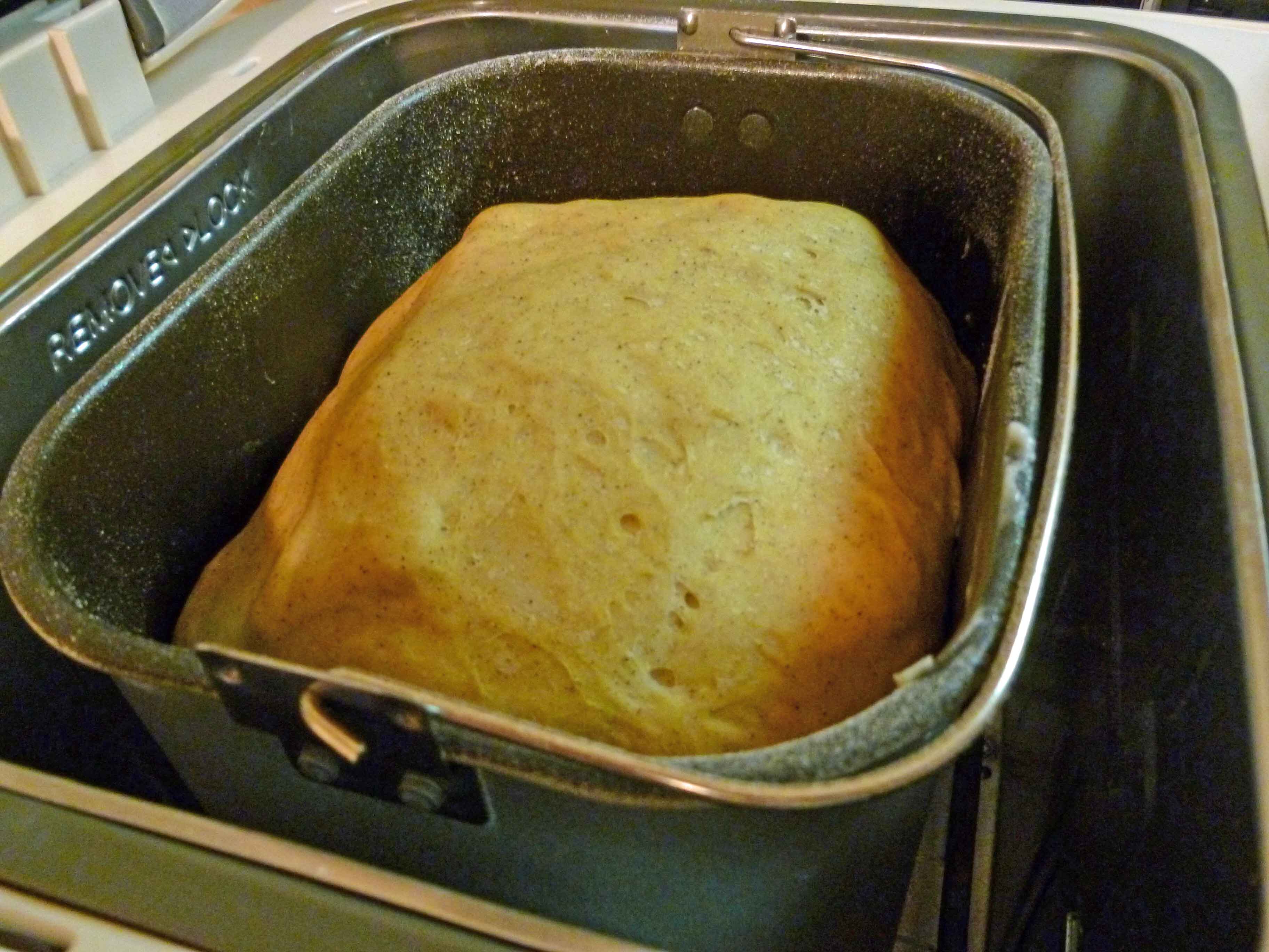 Completed Dough in Bread Pan