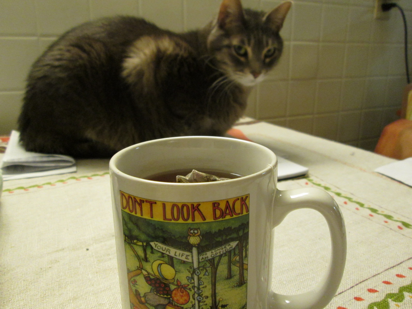 Tea & Cat