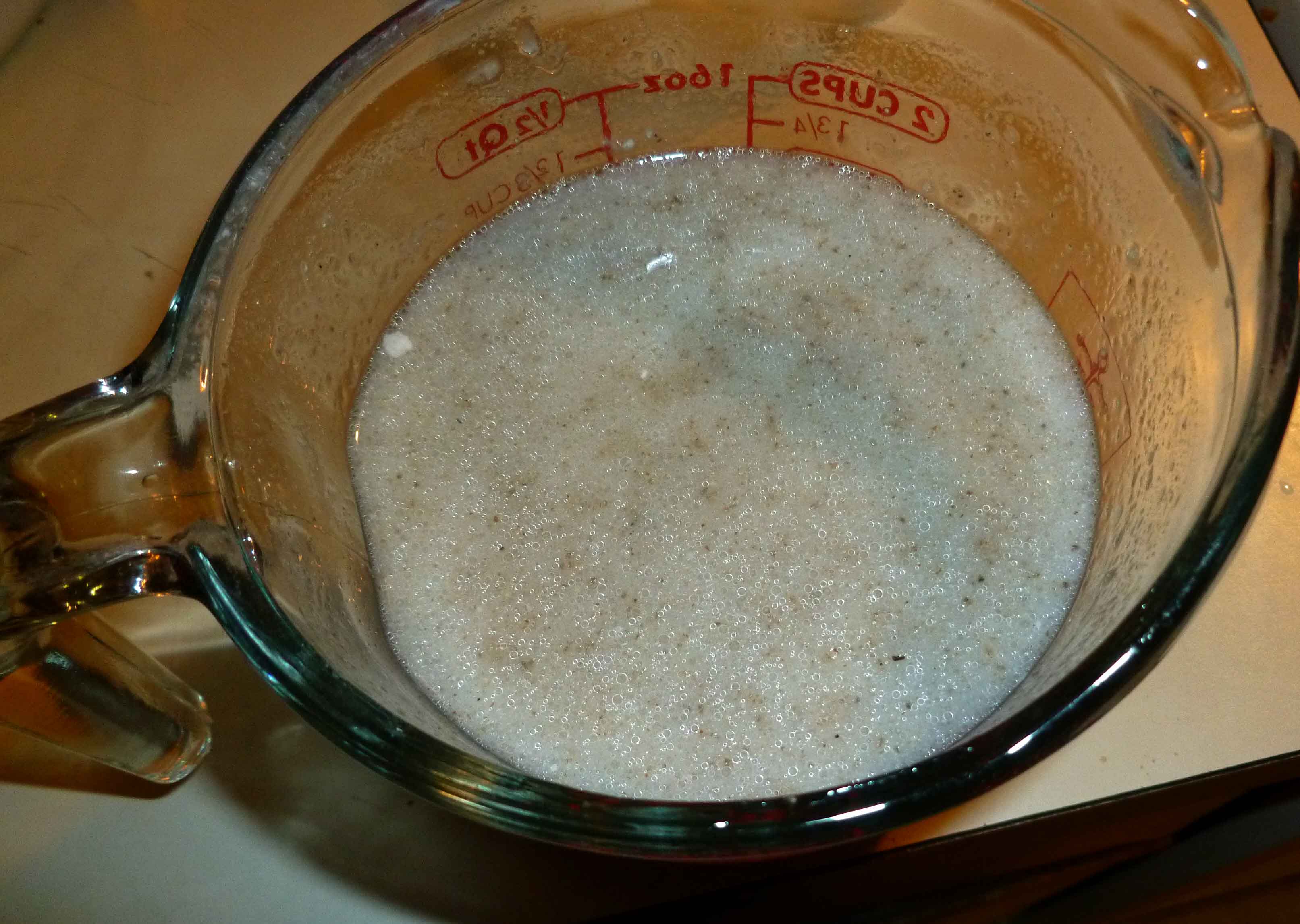 Rice milk mixture and chia egg whisked together