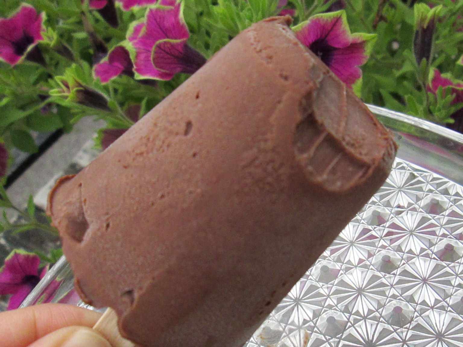 Cashew-Chocolate Pudding Popsicle!