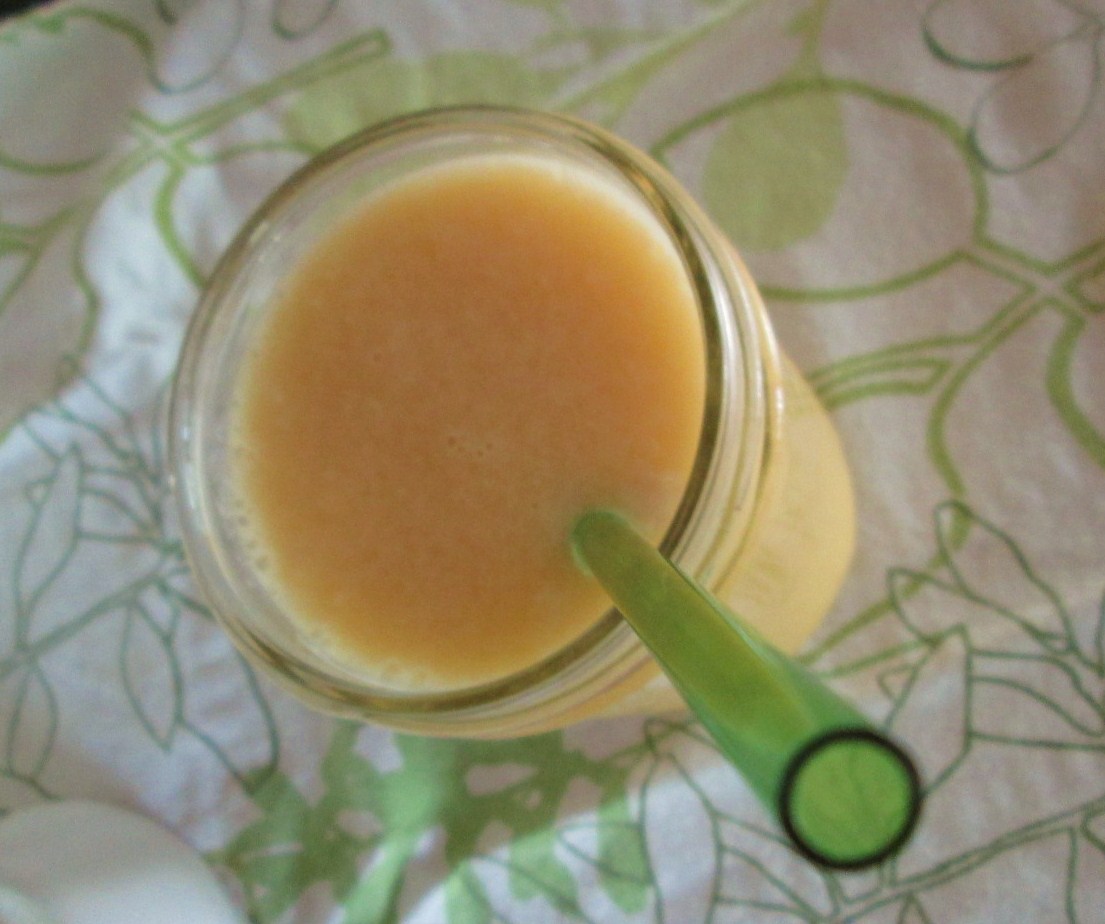 Lazy Creamsicle Smoothie