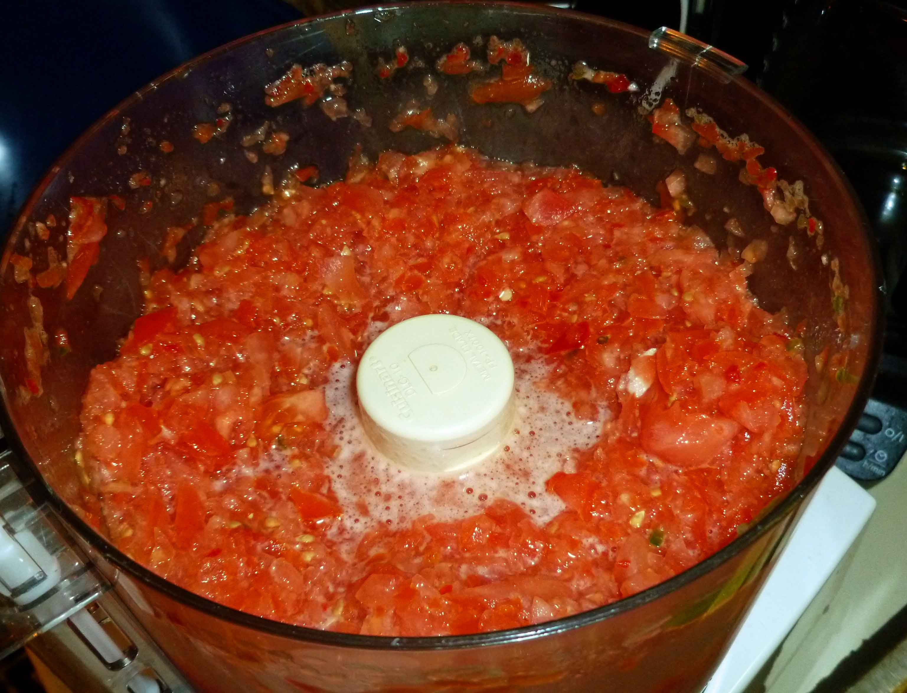 Salsa in food processor