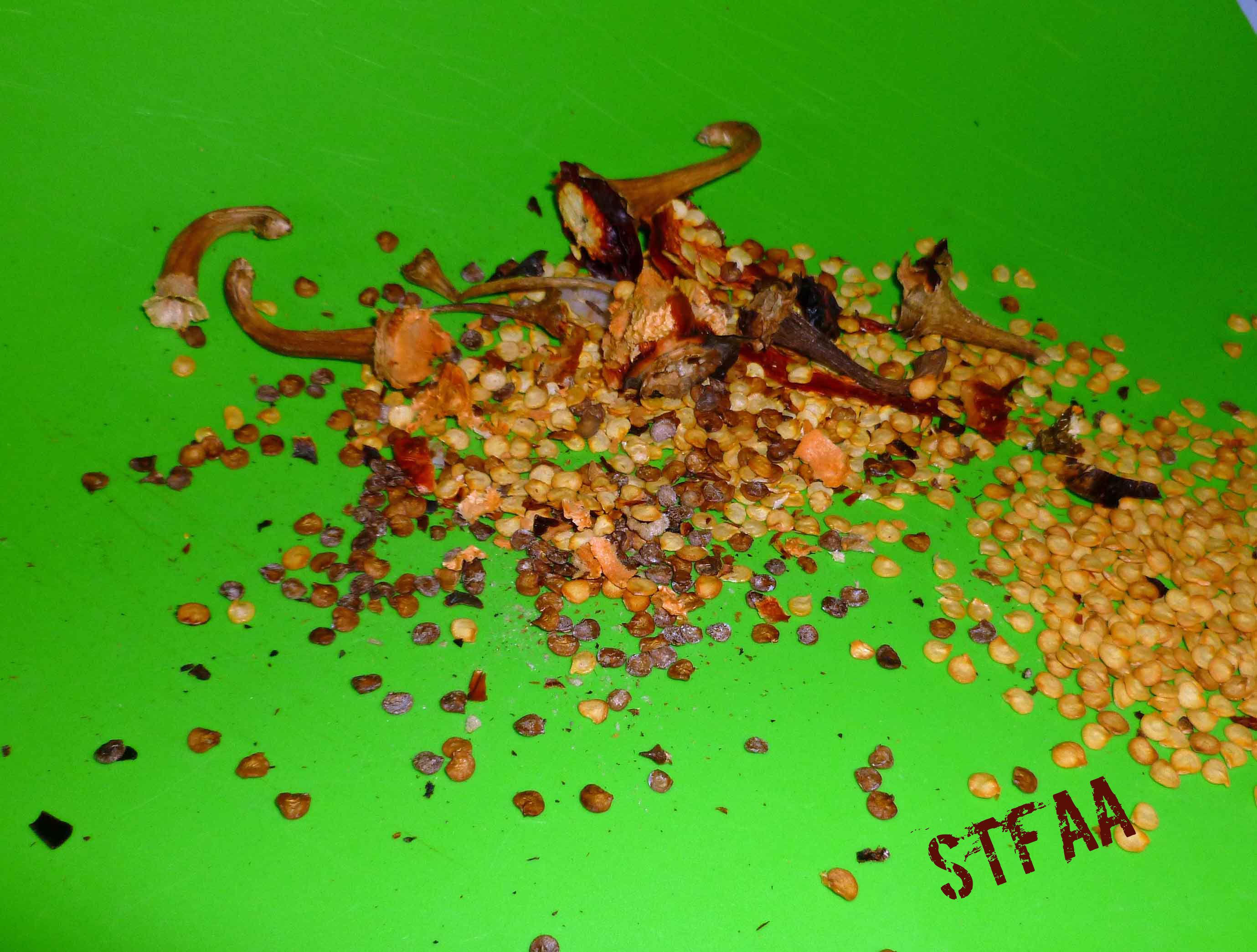 Stems and seeds removed from chiles to be discarded