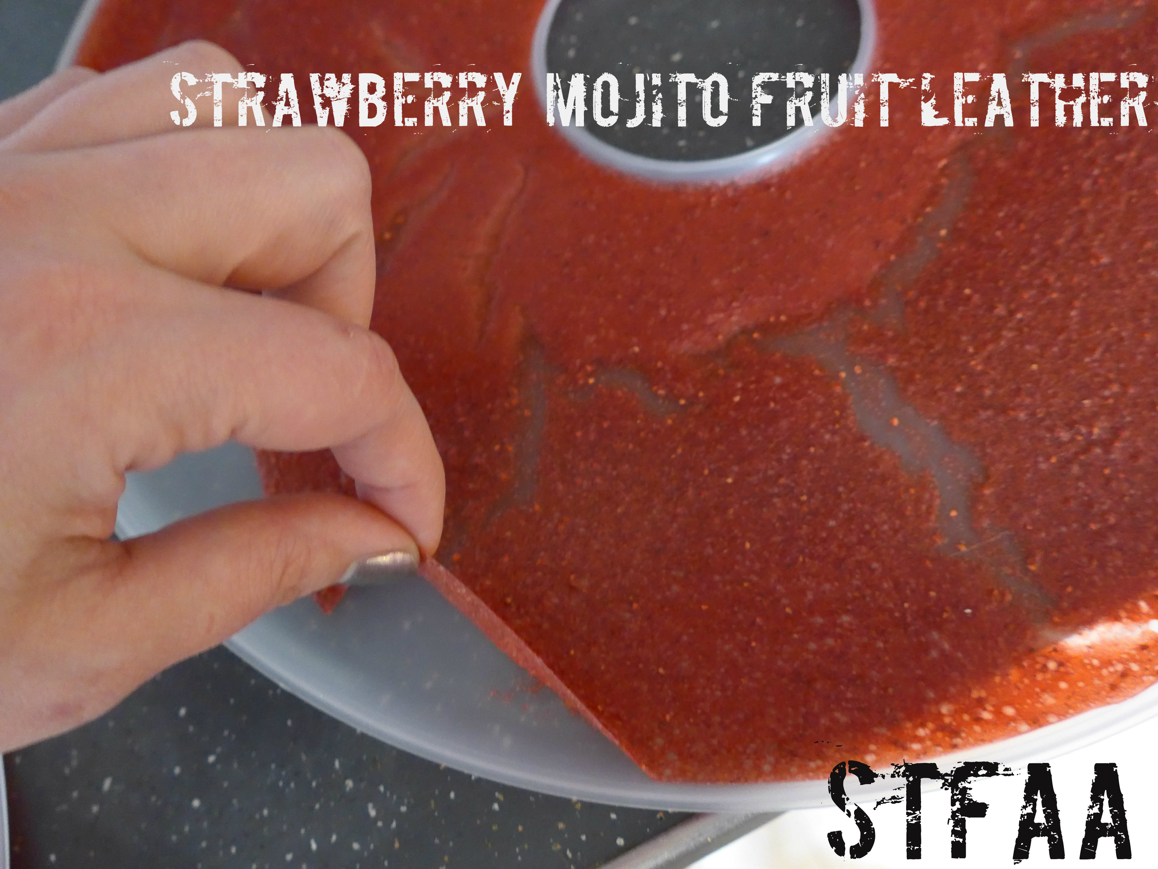 Strawberry Mojito Fruit Leather