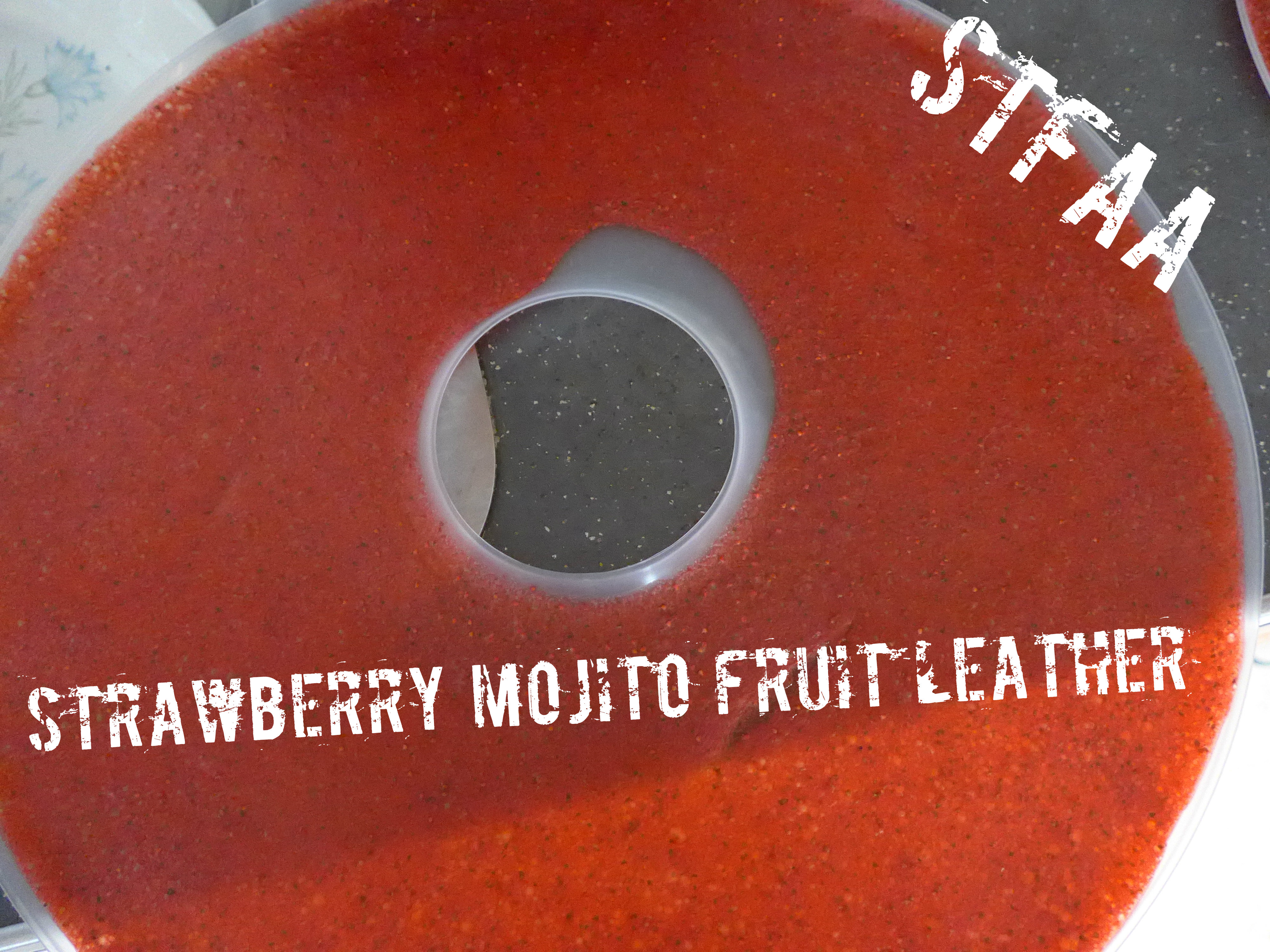 Strawberry Mojito Fruit Leather