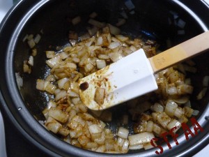 Onion and spice mixure