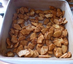 Pouring half apples in bottom of baking pan