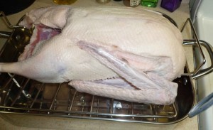 Goose in Roasting Pan with Rack