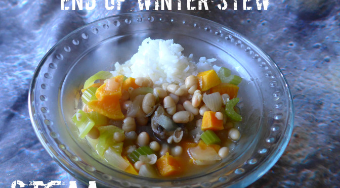 End of Winter Stew