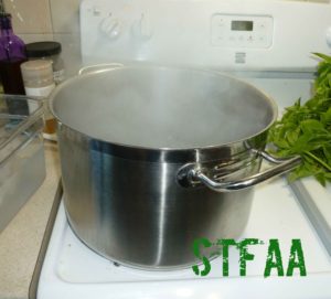 Pot of boiling water for me to dip the basil in