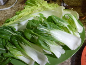 Napa cabbage and baby bok choy