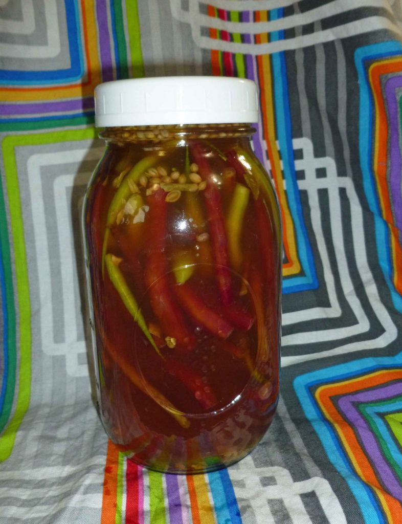 Dragontail Radish Pod Fridge Pickles