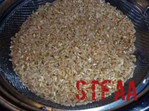 Brown Rice, rinsed and drained