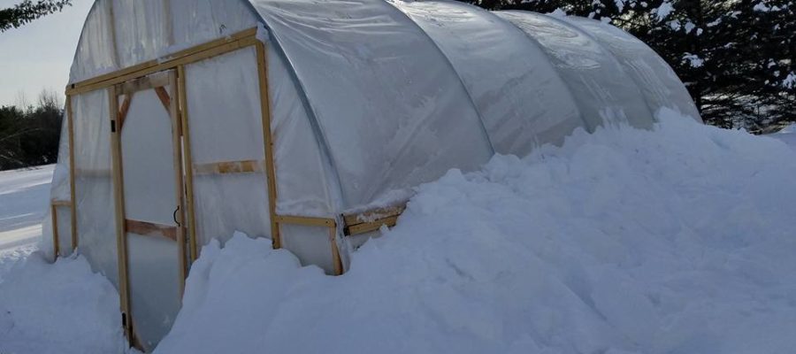 Denise's greenhouse in snow in New Hampshire