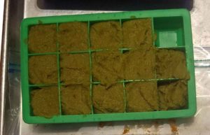 Thai Style Green Curry Paste after cooking down and in a silicone ice cube tray for freezing