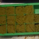 Thai Style Green Curry Paste in silicone ice cube tray ready to freeze